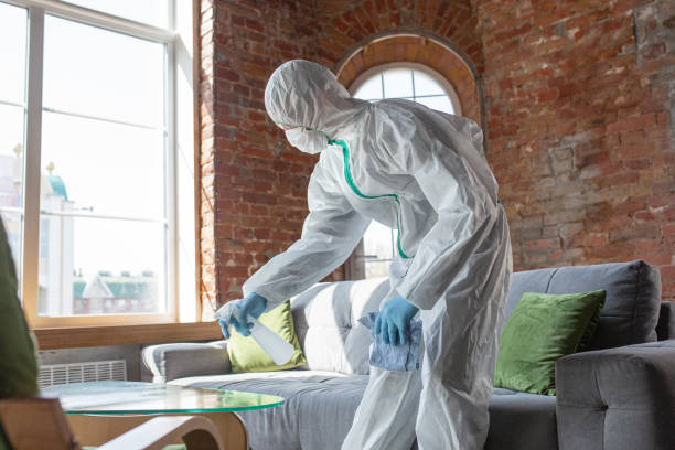 Reliable Royalton, MN Mold Removal Services Solutions